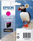 Epson tusz Magenta T3243, C13T32434010